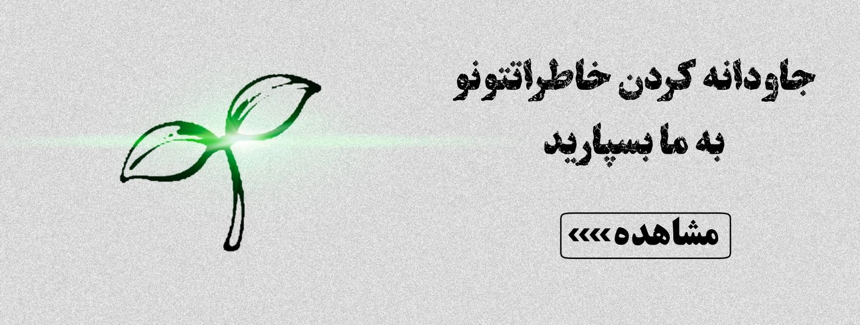 گردنبند موی یار